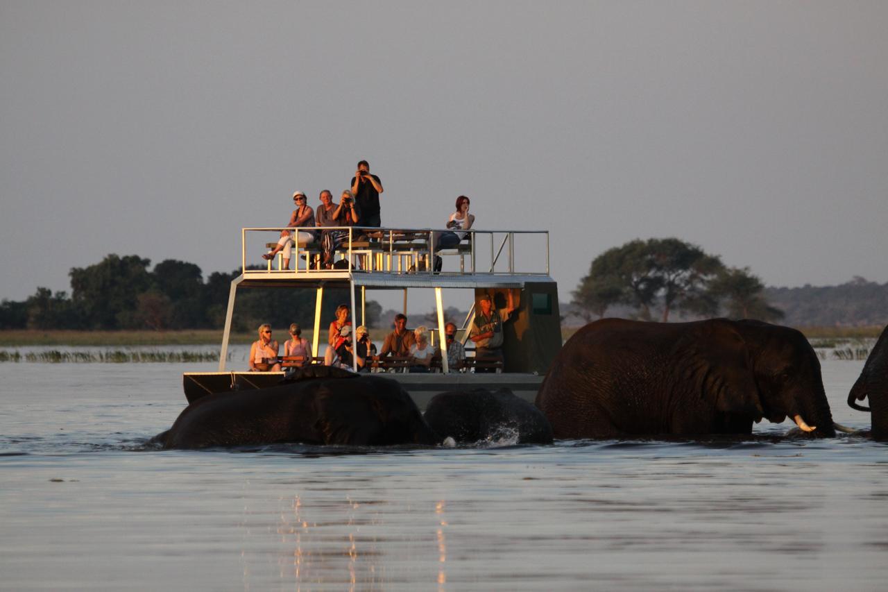 Chobe River Camp Ngoma Exteriér fotografie